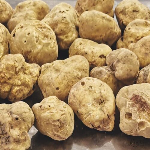 White Truffles